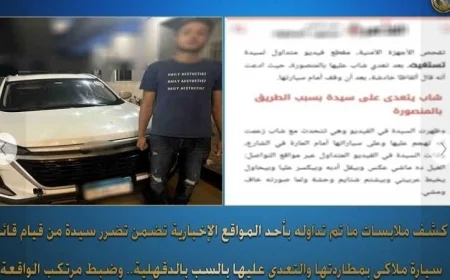 الداخلية تكشف تفاصيل تعرض سيدة للمطاردة والاعتداء اللفظي من سائق في الدقهلية