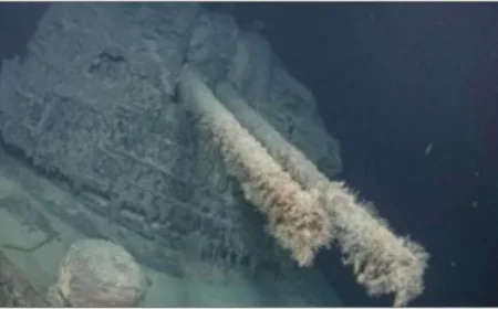 اكتشاف حطام 13 سفينة مفقودة من الحرب العالمية الثانية يثير الفضول والاهتمام