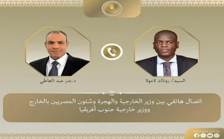 وزير الخارجية يعزز التعاون الاستراتيجي مع نظيره الجنوب أفريقي