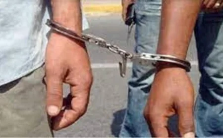 القبض على شخصين بتهمة اختلاس عقاقير طبية بقيمة 1.5 مليون جنيه