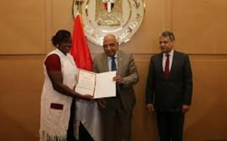 وزير الكهرباء يعلن عن جهود لتعزيز التعاون مع الدول الإفريقية