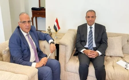 تعاون مثمر بين وزيري الخارجية والري لتعزيز الشراكة مع دول حوض النيل