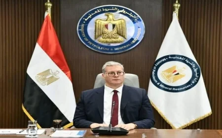 وزير البترول يعين عبير الشربيني متحدثة رسمية جديدة للوزارة