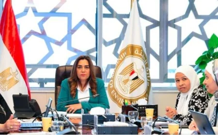 اجتماع هام بين وزيرة التنمية والقائم بأعمال وزير البيئة لتقييم الأثر البيئي
