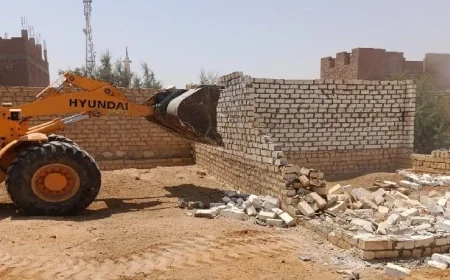 الإسماعيلية تزيل ١٧ حالة بناء مخالف على الأراضي الزراعية وتستعيد الرقعة الخضراء