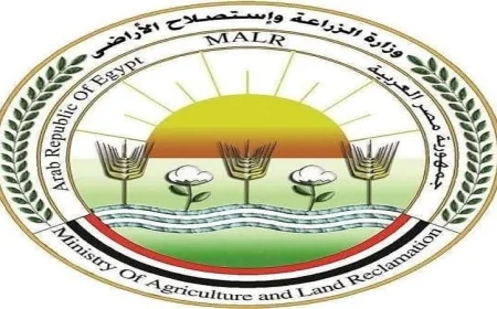 وزارة الزراعة تصدر 564 ترخيصًا لتشغيل أنشطة ومشروعات الإنتاج الحيواني والداجني