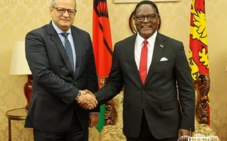 رئيس مالاوي يثني على التعاون المتنامي مع مصر في كافة المجالات