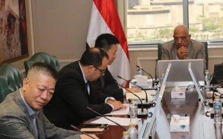 وزير الكهرباء يناقش توطين صناعة المعدات الكهربائية مع شركة انكورا الصينية