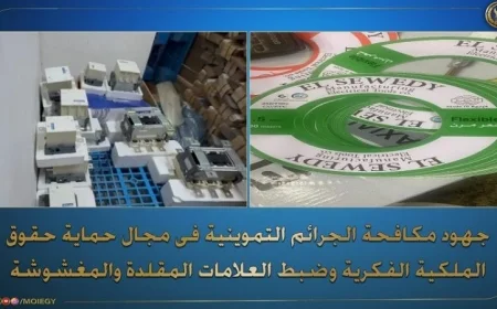 اكتشاف مصنعين لإنتاج الأدوات الكهربائية غير الموثوقة في القليوبية