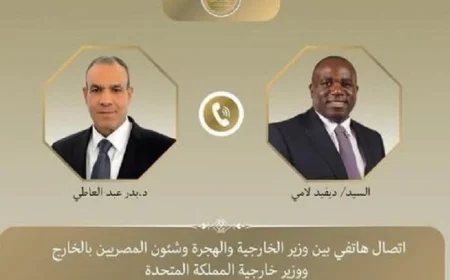 مباحثات بين وزير الخارجية ونظيره البريطاني لتعزيز جهود وقف إطلاق النار في غزة