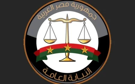 النيابة العامة تصدر قراراً بإخلاء سبيل صاحب الفيديو في المتحف المصري الكبير