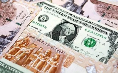 استقرار سعر الدولار بعد تراجع 22 قرشًا خلال الأسبوع الماضي