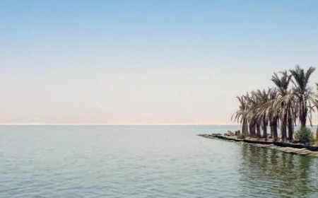 بداية ملتقى الفيوم للرسوم المتحركة من قلب بحيرة قارون