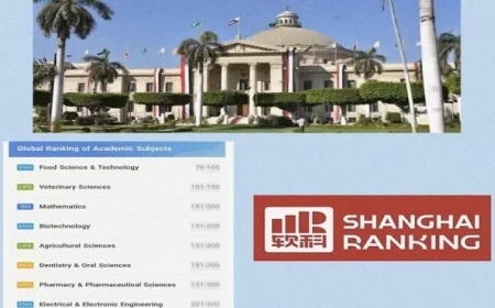 جامعة القاهرة تتألق في تصنيف شنغهاي 2025 كأفضل جامعة مصرية
