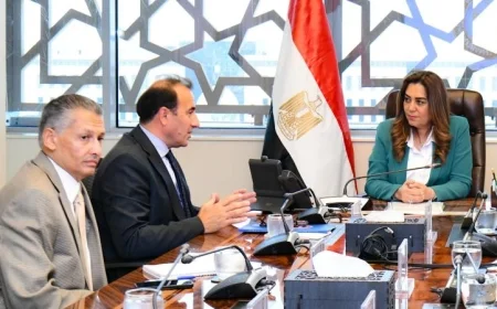 منال عوض تشدد على تعزيز الاستفادة القصوى من الشراكات الدولية