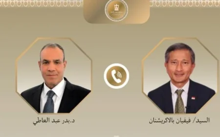 تعزيز الشراكة بين مصر وسنغافورة: تصريح وزير الخارجية حول الأهمية الاستراتيجية