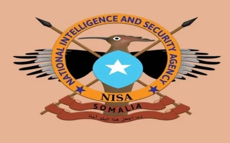 القضاء على 11 إرهابيا في عملية مشتركة بين المخابرات الصومالية والداعمين الدوليين