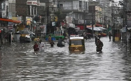 رئيس وزراء باكستان يعبر عن حزنه الشديد تجاه دمار الفيضانات في البلاد