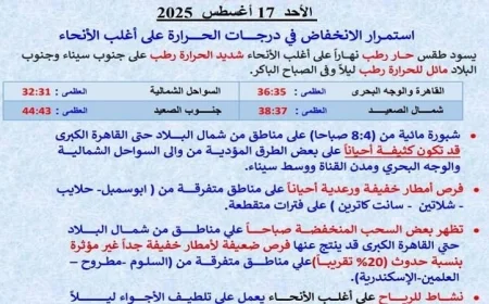 صور| انخفاض درجات الحرارة يستمر وأمطار خفيفة متوقعة غداً.. القاهرة تسجل 35 درجة مئوية