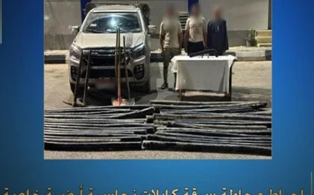 إحباط سرقة كابلات نحاسية في المنوفية ينجح في حماية شركة محلية