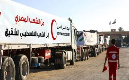 الهلال الأحمر المصري يرسل القافلة السادسة عشر من زاد العزة محملة بـ2400 طن من المساعدات الغذائية