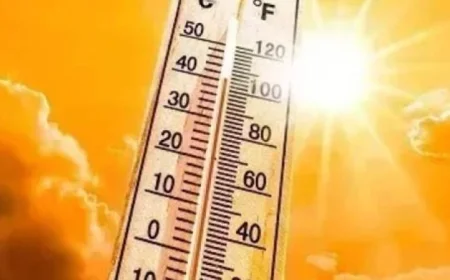 الأرصاد: طقس الغد في القاهرة حار ورطب نهارا ومائل للحرارة ليلا مع تسجيل 35 درجة مئوية