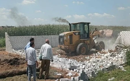 حملات مكثفة لإزالة التعديات على الأراضي الزراعية وأملاك الدولة في محافظة البحيرة