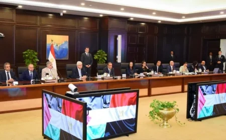 وزير الخارجية يسعى لحشد الدعم العالمي لتنفيذ خطة إعمار غزة العربية