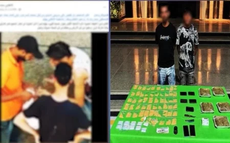 القبض على شخصين بحوزتهما مخدرات بقيمة 3 ملايين جنيه في القليوبية