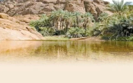 المحميات الطبيعية في مصر: كنز وطني وتراث بيئي عالمي كشفته جهاز شؤون البيئة