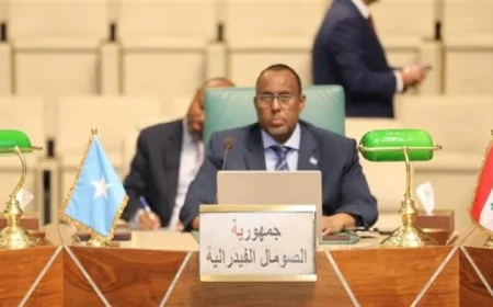 سفير الصومال في القاهرة يبرز أهمية متابعة تطورات صناعة الإعلام الحديثة