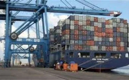 ميناء دمياط يشهد نشاطًا بحركة 22 سفينة حاويات وبضائع عامة