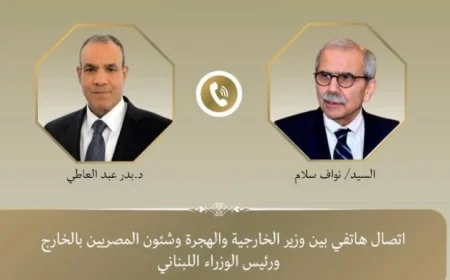 وزير الخارجية: مصر تضع أمن واستقرار لبنان في مقدمة أولوياتها