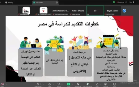 التعليم العالي تنظم لقاءات افتراضية للوافدين للتعريف بفرص الدراسة في مصر
