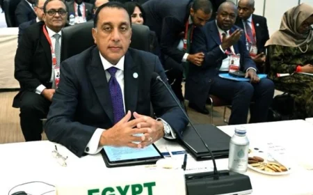 مدبولي يحضر الجلسة الافتتاحية لمؤتمر تيكاد 9 لتعزيز التنمية في إفريقيا بفاعلية في طوكيو