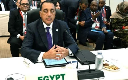 رئيس الوزراء يقدم كلمة مصر حول السلم والاستقرار في مؤتمر تيكاد 9 في طوكيو
