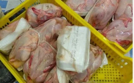 ضبط كميات ضخمة من المنتجات المغشوشة واللحوم الفاسدة في مداهمات شرطة التموين بالقليوبية