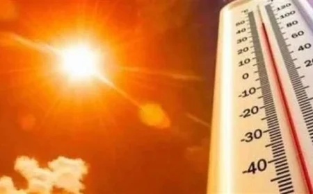 توقعات الطقس: حرارة شديدة نهارا ومعتدلة ليلا بالقاهرة ودرجات تصل إلى 35 غدا