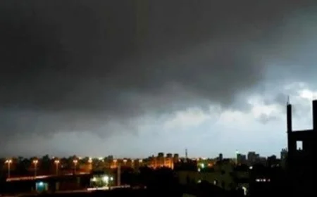 القائم بأعمال وزير البيئة يدعو إلى تعزيز الاستعداد لمواجهة ظاهرة السحابة السوداء