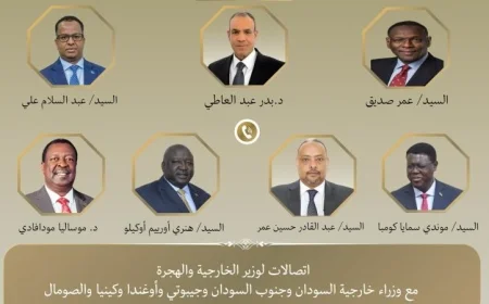 اتصالات هامة بين وزير الخارجية ونظرائه في الدول الأفريقية لتعزيز التعاون المشترك