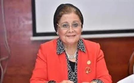 انخفاض معدل الإنجاب الكلي في القاهرة إلى 2.05٪ لعام 2024 يكشف عنه نائب وزير الصحة