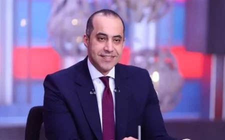 الحكومة المصرية برئاسة السيسي تسعى لحلول جذرية لمواجهة التحديات