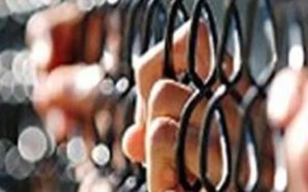 تنفيذ 33300 حكم بالغرامة خلال يومين فقط في رقم قياسي مثير