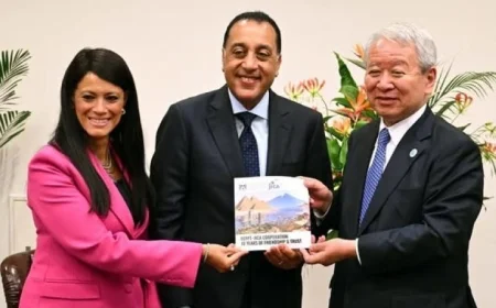 المشاط: تعزيز التنمية في صلب العلاقات المصرية اليابانية المشتركة