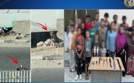 الأجهزة الأمنية بالجيزة تضبط 20 شخصا لاستغلالهم الأطفال في التسول