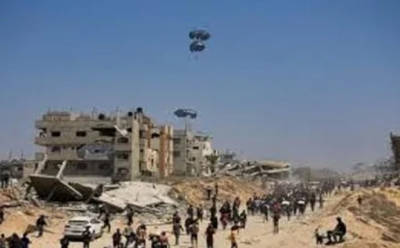 الأردن والإمارات وأوروبا ينفذون إنزالًا جويًّا لتسليم 37 طنًا من المساعدات الإنسانية إلى غزة