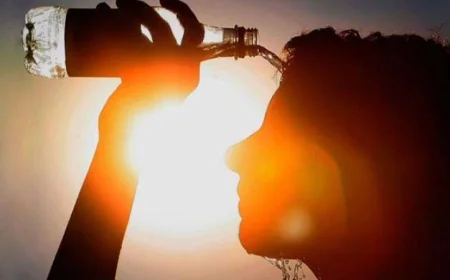 موجة حر قاتلة تفتك بأرواح أكثر من 1300 شخص في البرتغال