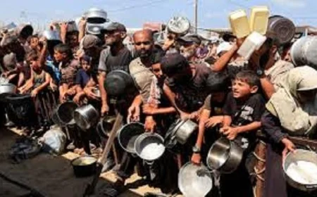 الهيئة الدولية لدعم فلسطين تؤكد المجاعة في غزة تكشف عن إدانة واضحة لإسرائيل