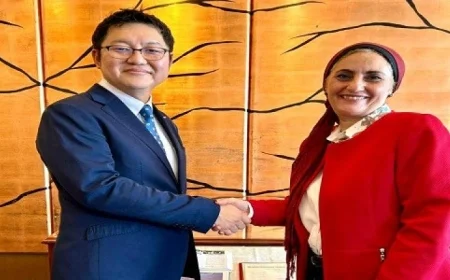 تعاون مصري ياباني لتطبيق برنامج البرمجة في المدارس المصرية اليابانية