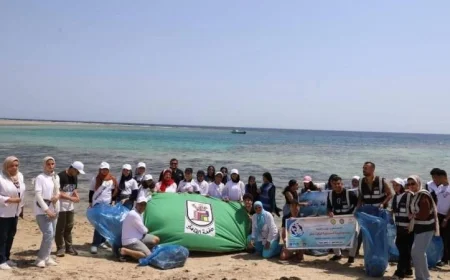 شباب منتدى البيئة الساحلية في الغردقة يقودون مبادرة لزراعة أشجار المانجروف وتنظيف الشواطئ
